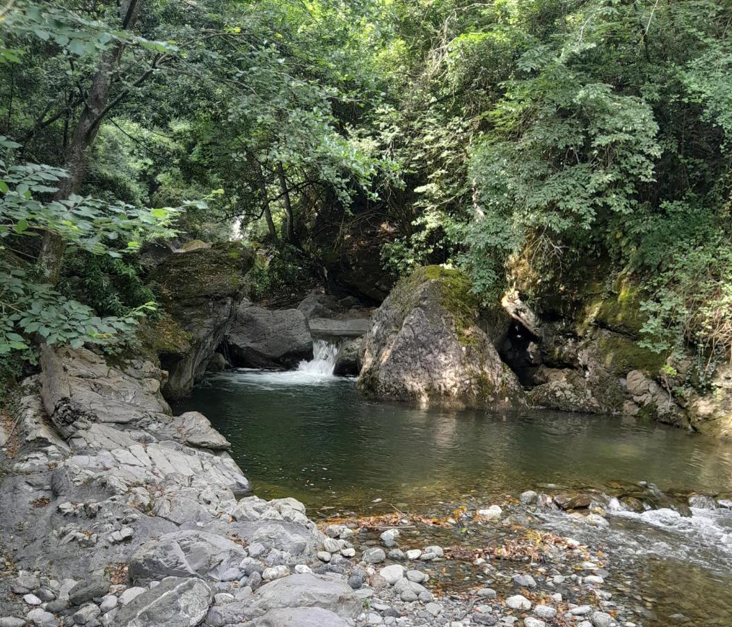 Casa Ylenia Villa Borzonasca Bagian luar foto